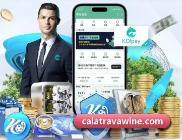 c7官网平台入口 APP 深度功能